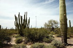 photo thumbnail #2