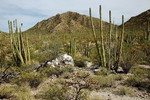 photo thumbnail #15