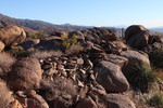 photo thumbnail #4