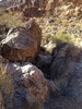 photo thumbnail #5