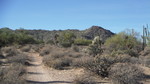 photo thumbnail #2