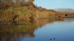photo thumbnail #14
