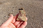 photo thumbnail #6
