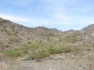 photo thumbnail #4
