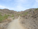 photo thumbnail #5