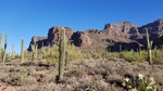 photo thumbnail #7