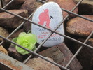 photo thumbnail #10