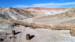 photo thumbnail #3