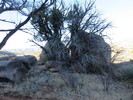 photo thumbnail #6