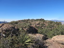 photo thumbnail #6