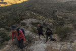 photo thumbnail #2