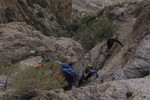 photo thumbnail #9