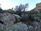 photo thumbnail #4