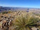 photo thumbnail #14