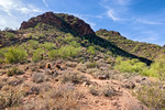 photo thumbnail #5