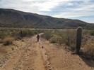 photo thumbnail #9