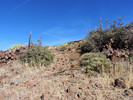 photo thumbnail #12