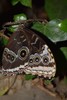 photo thumbnail #15