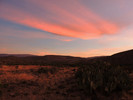 photo thumbnail #1