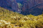 photo thumbnail #6
