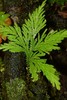 photo thumbnail #15