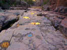 photo thumbnail #9