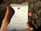 photo thumbnail #12