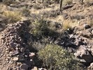 photo thumbnail #6
