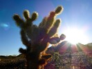 photo thumbnail #4