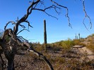 photo thumbnail #5