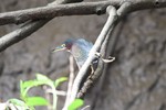photo thumbnail #15