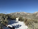 photo thumbnail #5