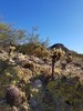 photo thumbnail #2