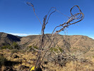 photo thumbnail #6