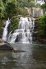 photo thumbnail #9