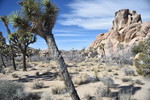 photo thumbnail #5