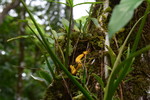 photo thumbnail #15