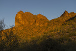 photo thumbnail #2