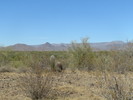 photo thumbnail #11