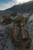 photo thumbnail #4
