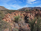 photo thumbnail #11