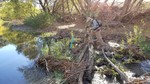 photo thumbnail #6