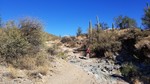 photo thumbnail #10