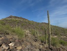 photo thumbnail #13