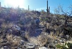 photo thumbnail #14