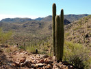 photo thumbnail #5
