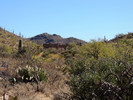 photo thumbnail #12