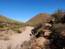 photo thumbnail #13