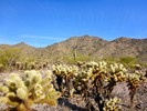 photo thumbnail #6