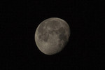 photo thumbnail #1